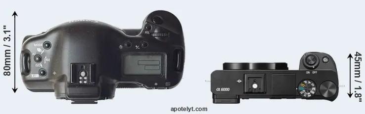 Compare 1D versus A6000 top