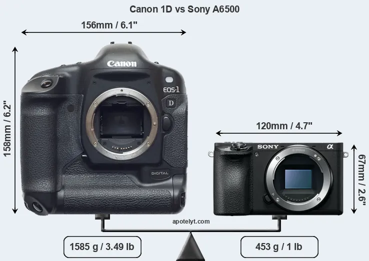Size Canon 1D vs Sony A6500