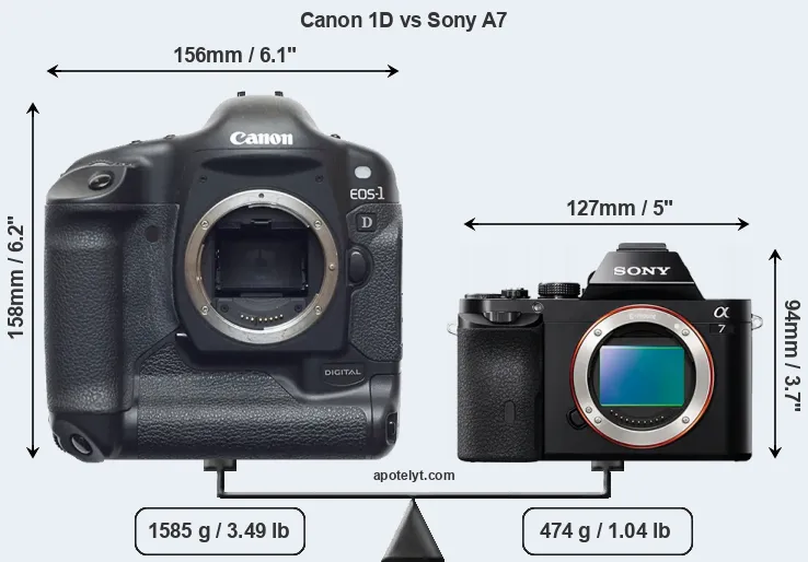 Size Canon 1D vs Sony A7