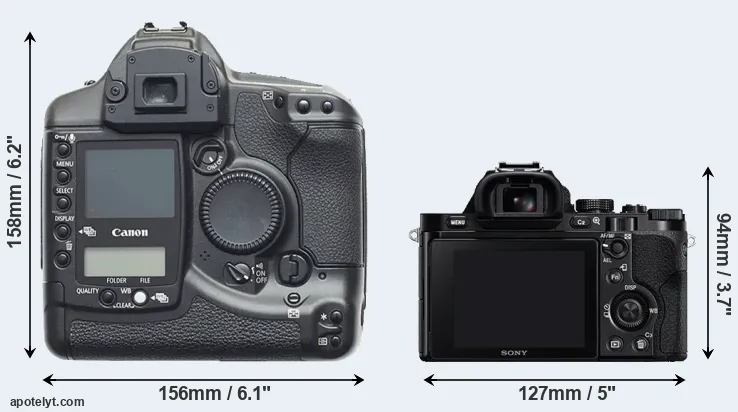 Comparison 1D or A7 rear
