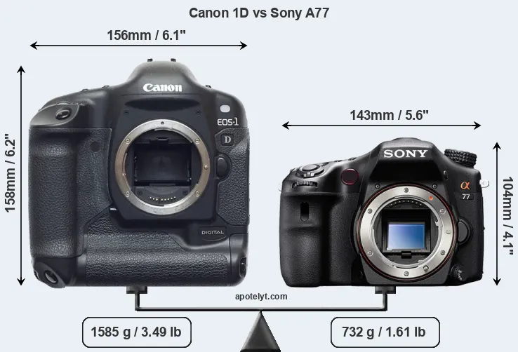 Size Canon 1D vs Sony A77