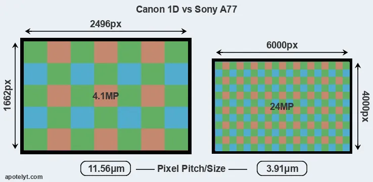 1D versus A77 MP