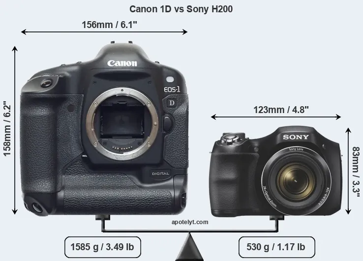Size Canon 1D vs Sony H200