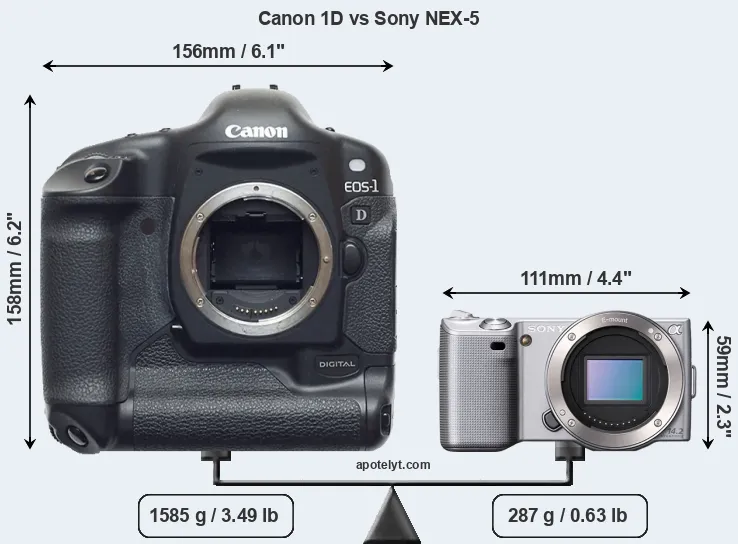 Size Canon 1D vs Sony NEX-5