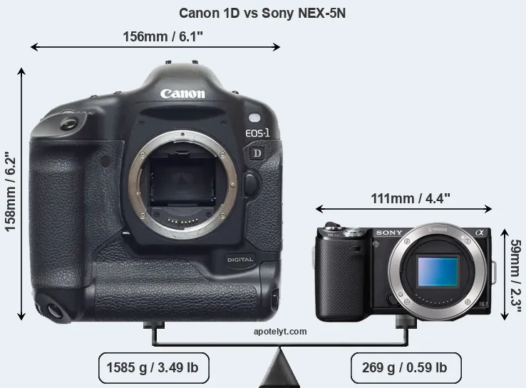 Size Canon 1D vs Sony NEX-5N