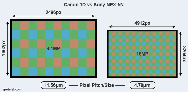 1D versus NEX-5N MP