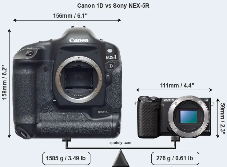 Size Canon 1D vs Sony NEX-5R