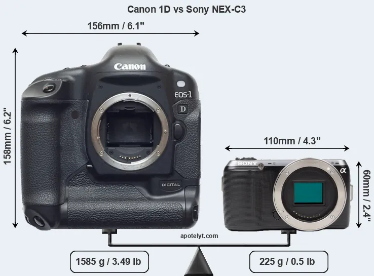 Size Canon 1D vs Sony NEX-C3