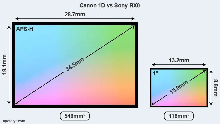 Canon 1D and Sony RX0 sensor measures
