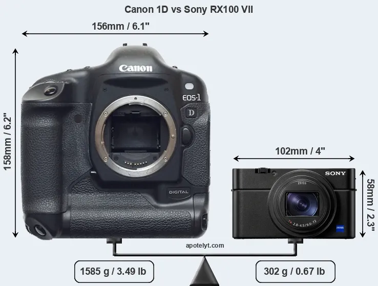 Size Canon 1D vs Sony RX100 VII