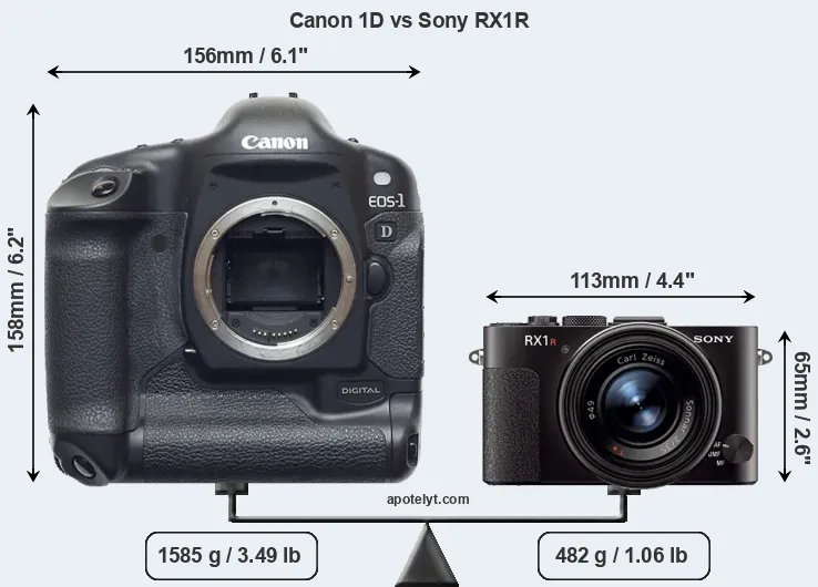 Size Canon 1D vs Sony RX1R