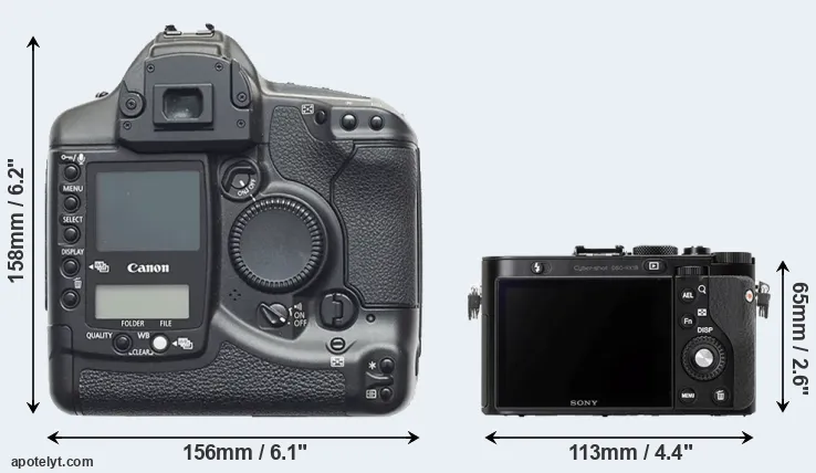 Comparison 1D or RX1R rear