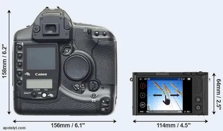Comparison 1D or M1 rear