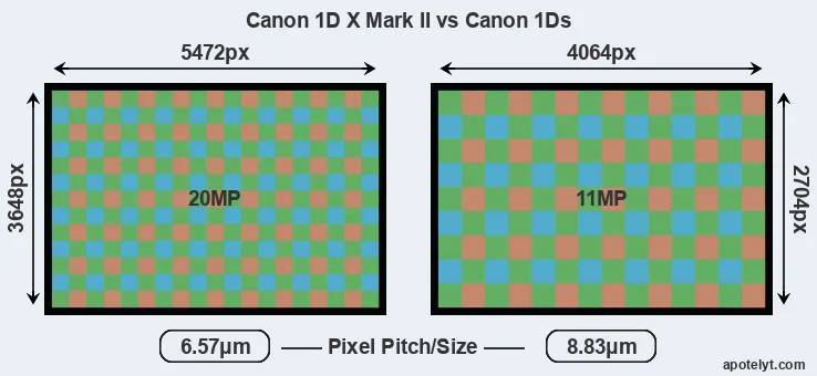 1DX Mark II versus 1Ds MP
