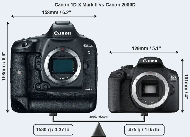 Size Canon 1D X Mark II vs Canon 2000D