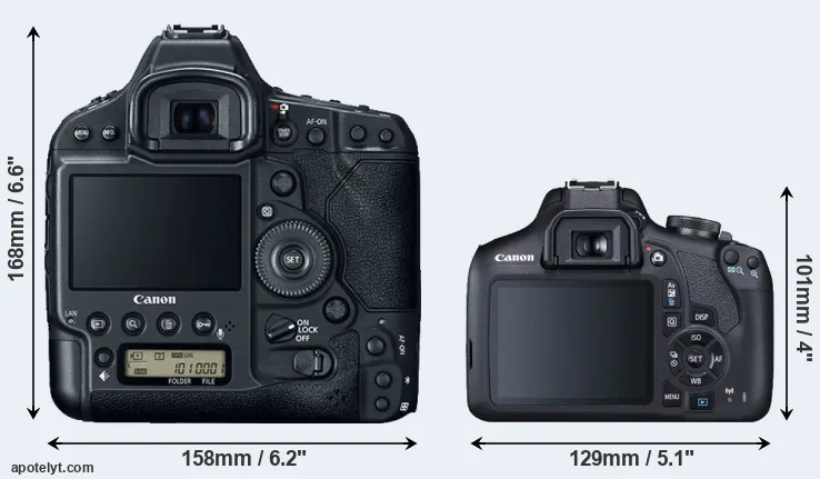 Comparison 1DX Mark II or 2000D rear