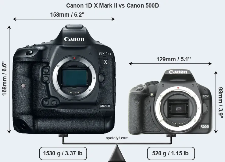 Size Canon 1D X Mark II vs Canon 500D