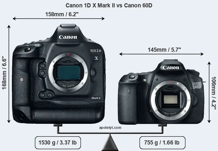 Size Canon 1D X Mark II vs Canon 60D