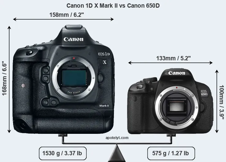 Size Canon 1D X Mark II vs Canon 650D