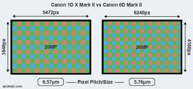 1DX Mark II versus 6D Mark II MP