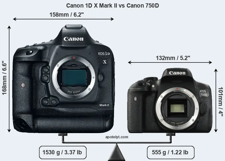 Size Canon 1D X Mark II vs Canon 750D