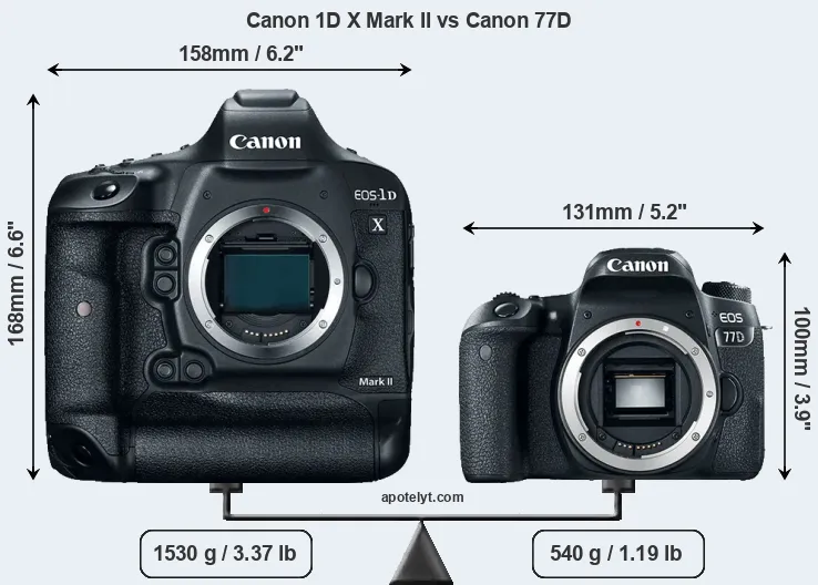 Size Canon 1D X Mark II vs Canon 77D
