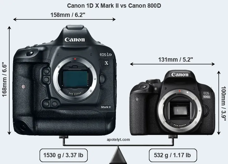 Size Canon 1D X Mark II vs Canon 800D