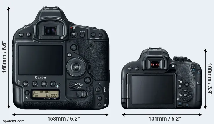 Comparison 1DX Mark II or 800D rear