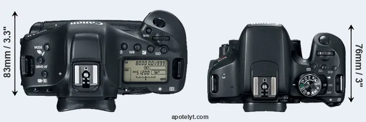 Compare 1DX Mark II versus 800D top