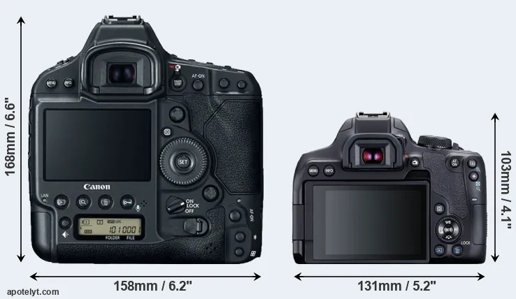Comparison 1DX Mark II or 850D rear