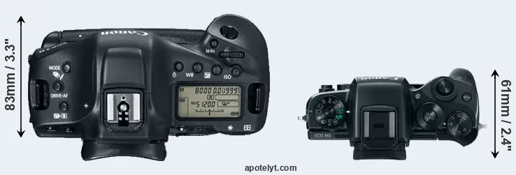 Compare 1DX Mark II versus M5 top