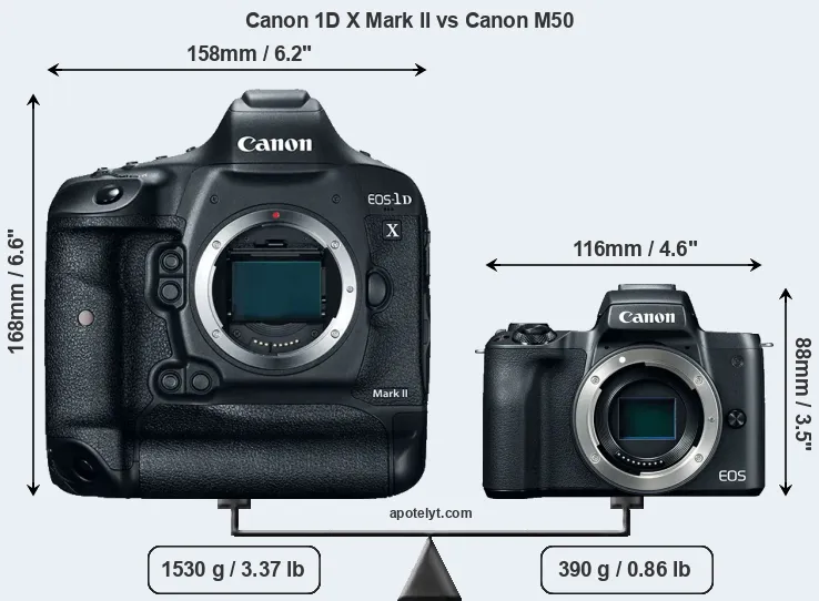 Size Canon 1D X Mark II vs Canon M50