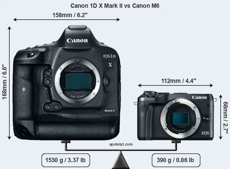 Size Canon 1D X Mark II vs Canon M6