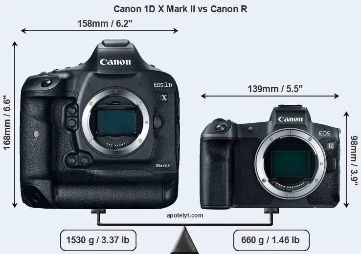 Size Canon 1D X Mark II vs Canon R