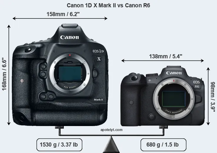 Size Canon 1D X Mark II vs Canon R6
