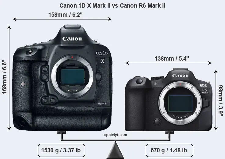 Size Canon 1D X Mark II vs Canon R6 Mark II