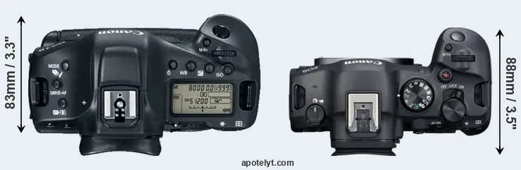 Compare 1DX Mark II versus R6 Mark II top