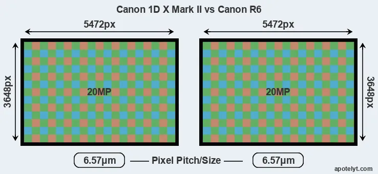 1DX Mark II versus R6 MP