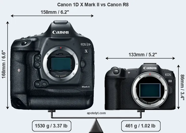 Size Canon 1D X Mark II vs Canon R8