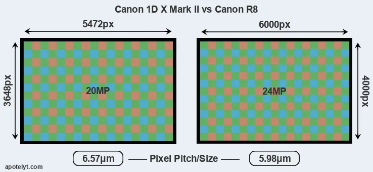 1DX Mark II versus R8 MP