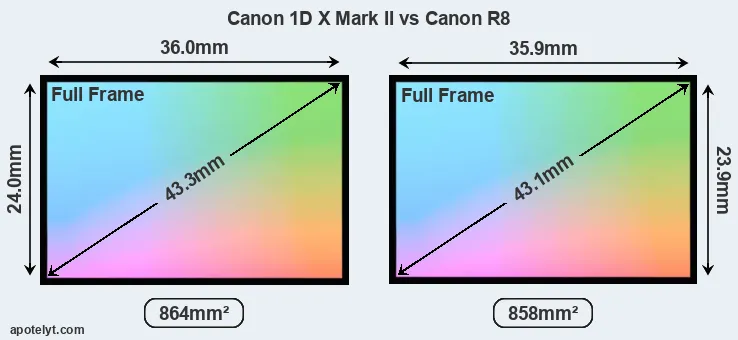 Canon 1D X Mark II and Canon R8 sensor measures