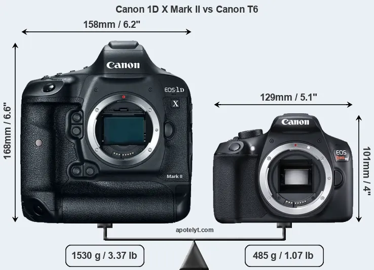 Size Canon 1D X Mark II vs Canon T6