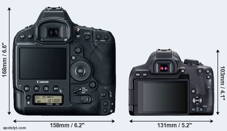 Comparison 1DX Mark II or T8i rear