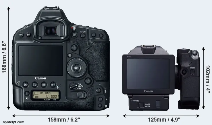 Comparison 1DX Mark II or XC10 rear