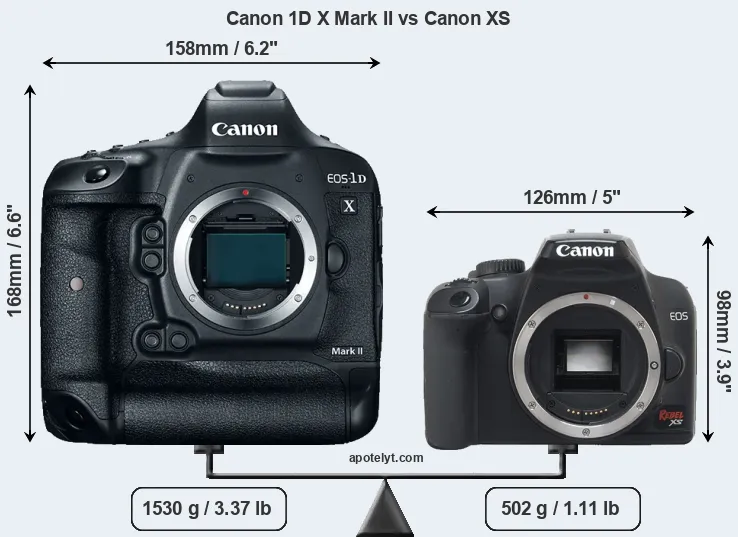 Size Canon 1D X Mark II vs Canon XS