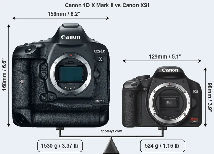 Size Canon 1D X Mark II vs Canon XSi