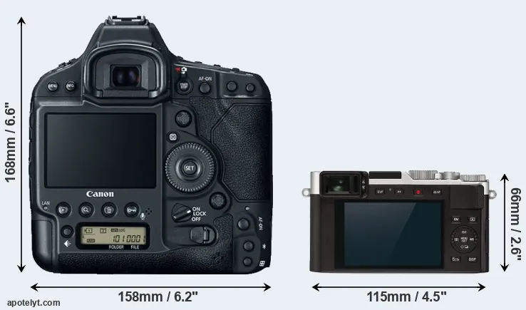 Comparison 1DX Mark II or D-LUX 7 rear