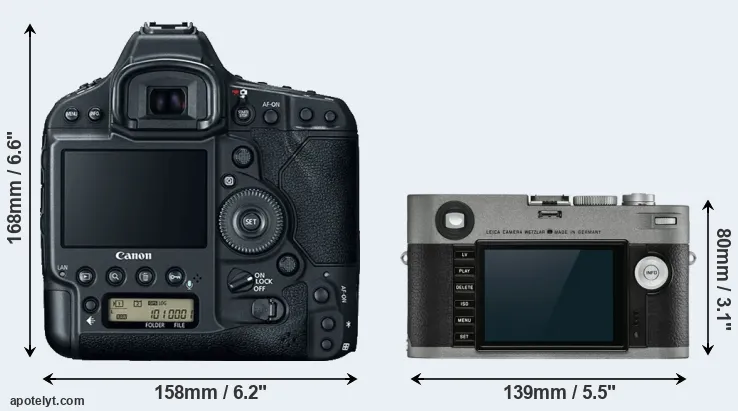 Comparison 1DX Mark II or M-E Typ 240 rear