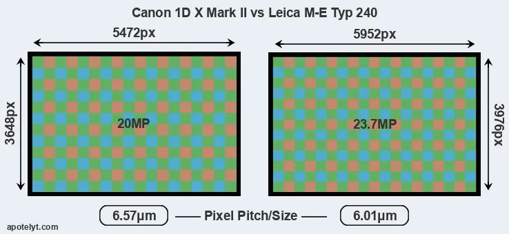 1DX Mark II versus M-E Typ 240 MP
