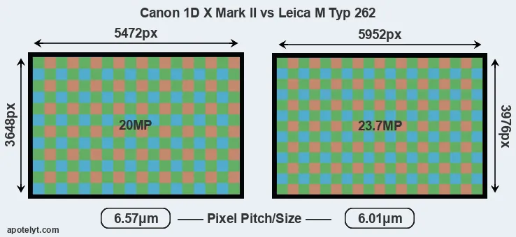 1DX Mark II versus M Typ 262 MP